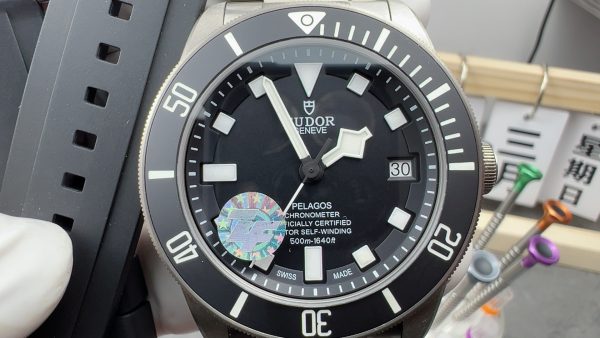 ZF Factory Tudor Pelagos M25600TB-0001 - 图片 2