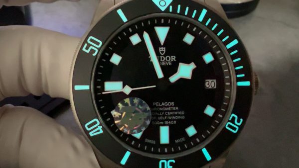 ZF Factory Tudor Pelagos M25600TB-0001 - 图片 9